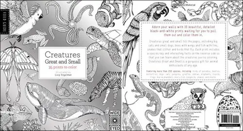 If It's Hip It's Here | The latest in global design and creativity