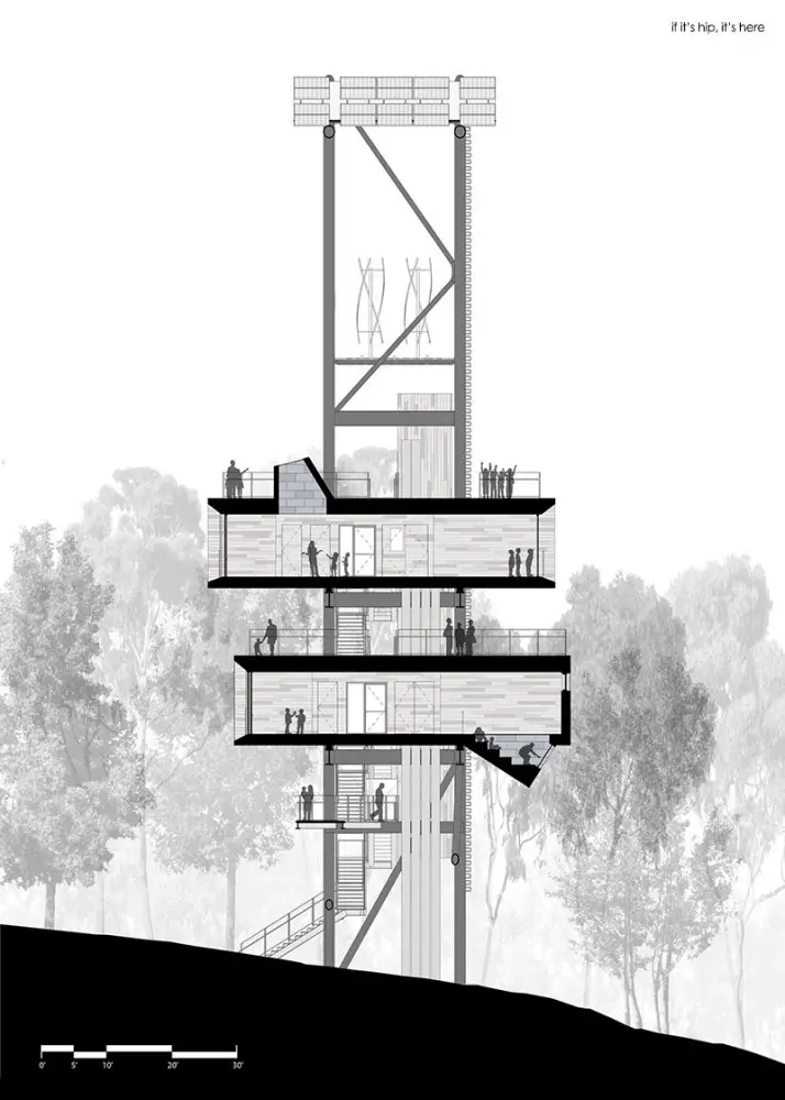 Mithun_Sustainability_Treehouse_Longitudinal