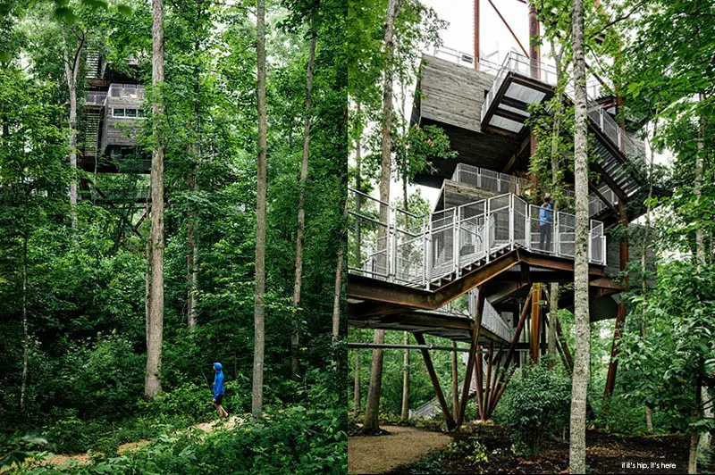 Treehouse_Gallery-3