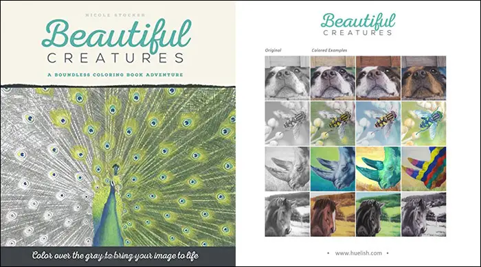 beautiful creatures coloring book