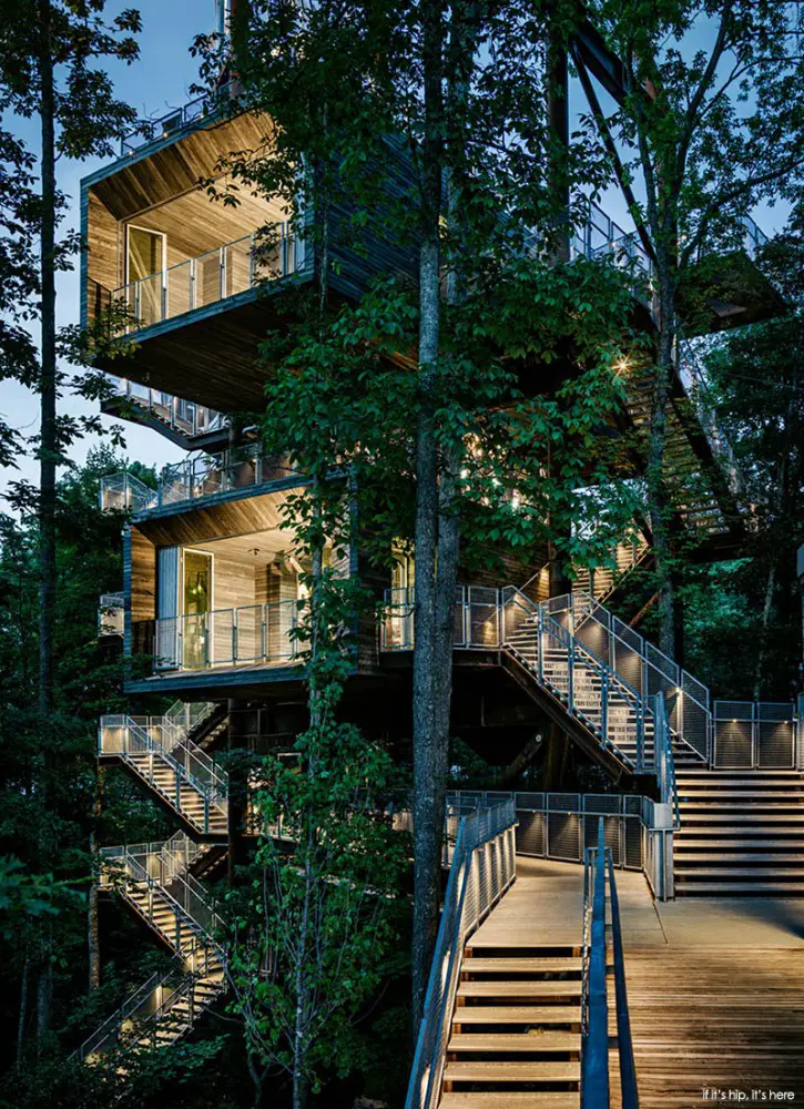 full treehouse