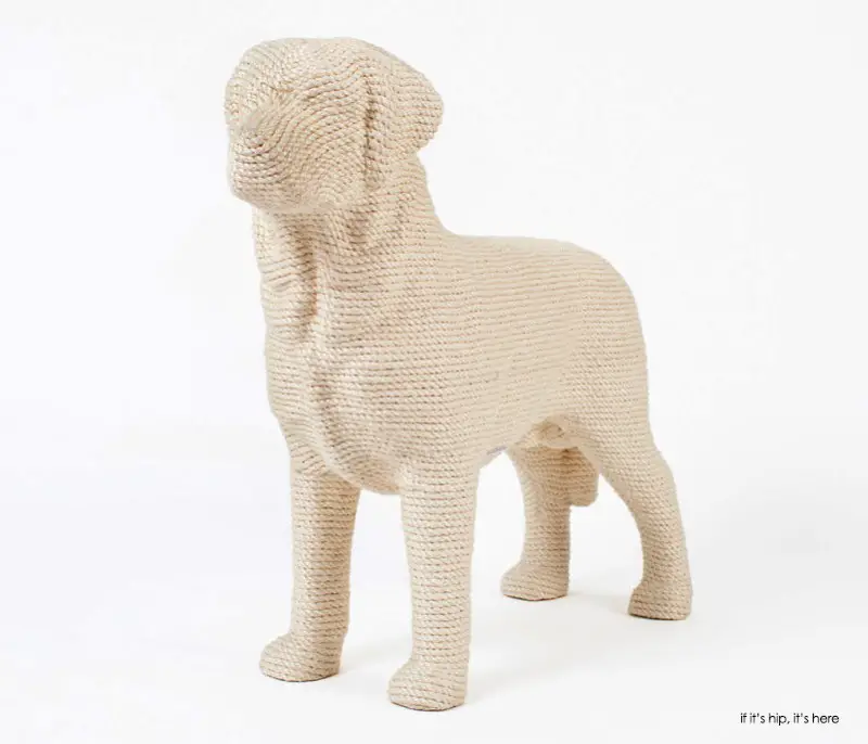 DOG in ivory 1