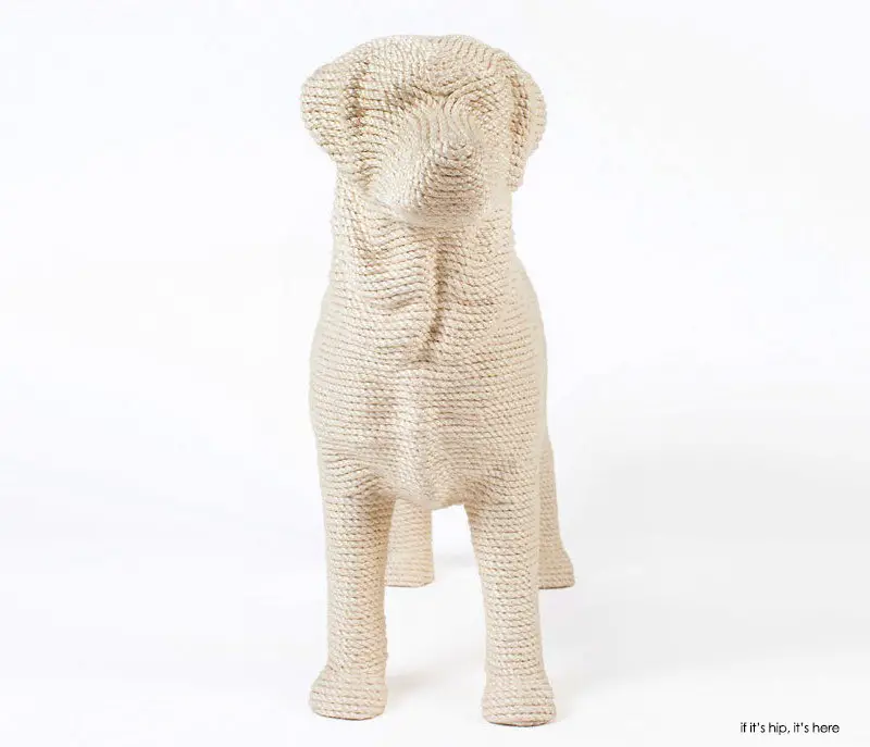 DOG in ivory 2