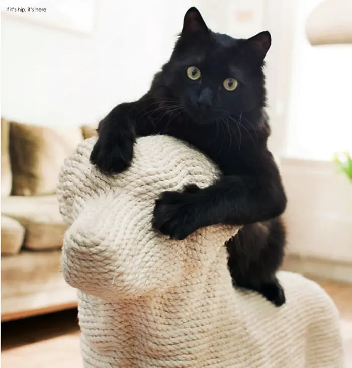 Read more about the article Yes, It’s A Dog-Shaped Scratching Post For Cats!