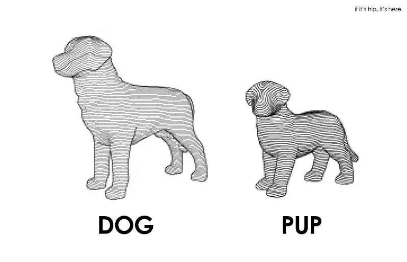 dog and pup size relationship