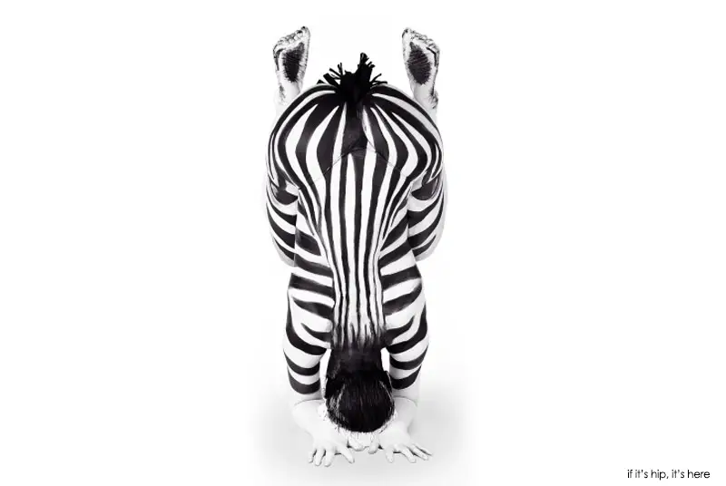 emma fay body painting zebra