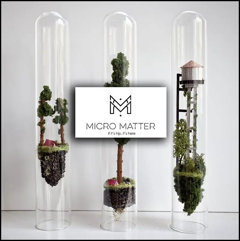 micro matter by rosa de jong