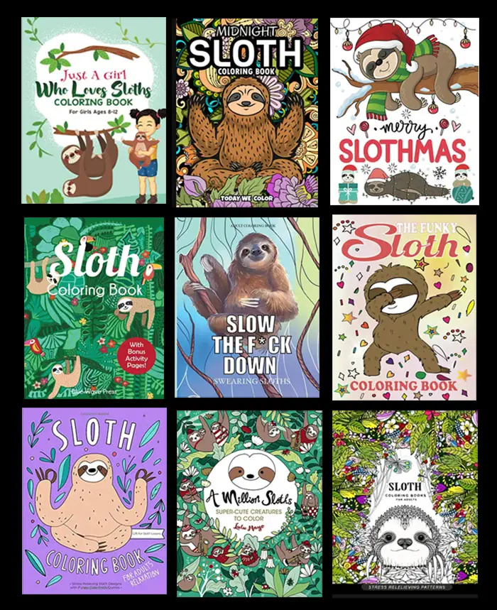 sloth coloring books