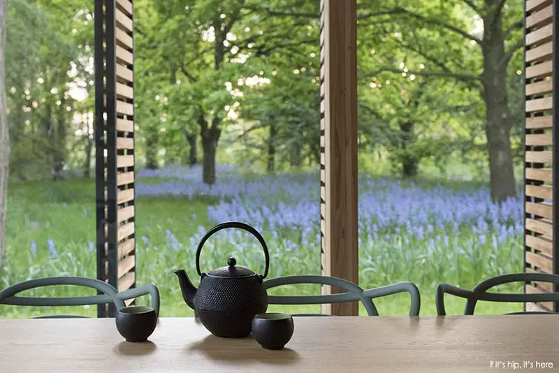 view looking out utrecht cabin by zecc architects