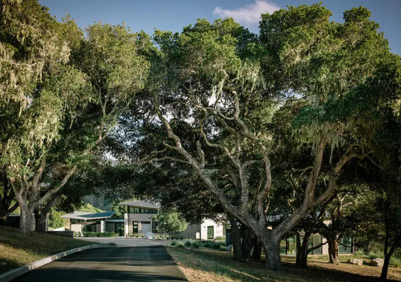 approach to Butterfly House 