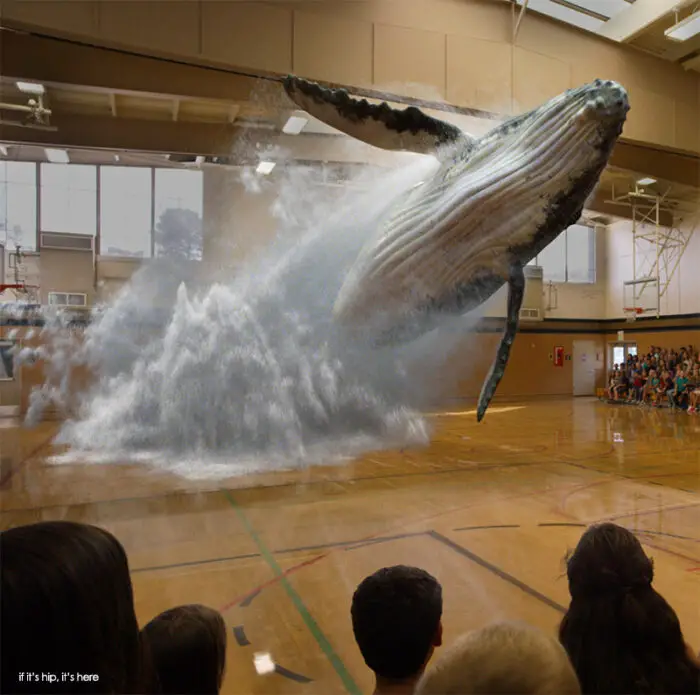 Read more about the article Magic Leap Is Just That… Magic.