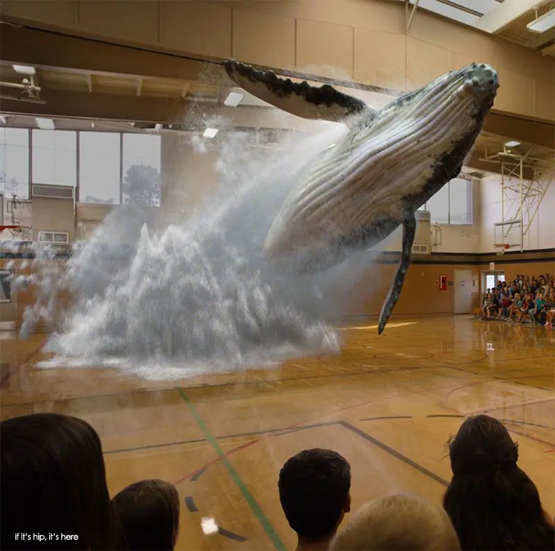 Magic Leap Technology