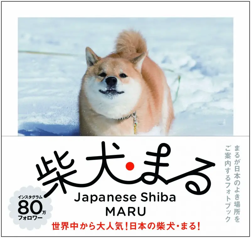 Maru book