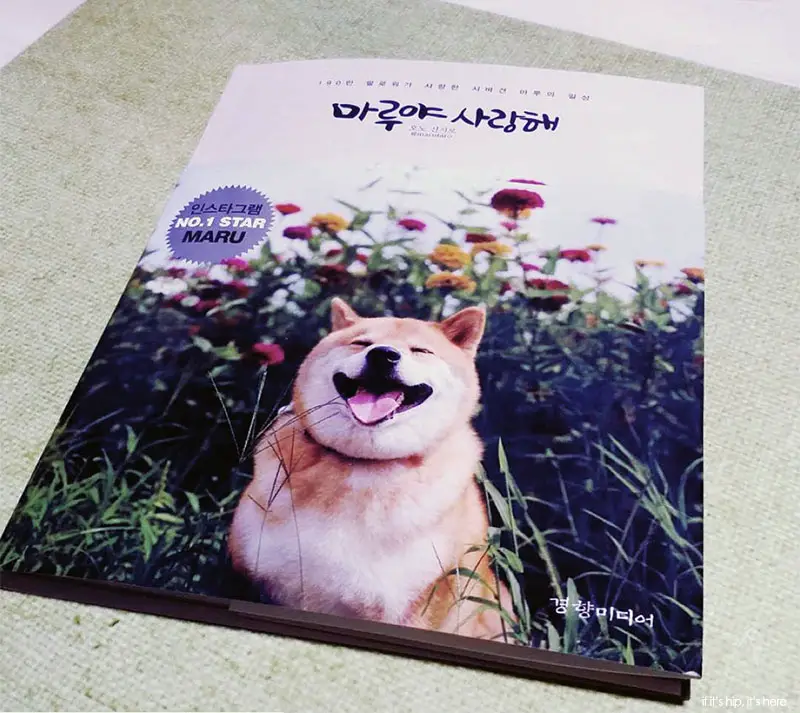 Maru's photo book was also released in korea. copy