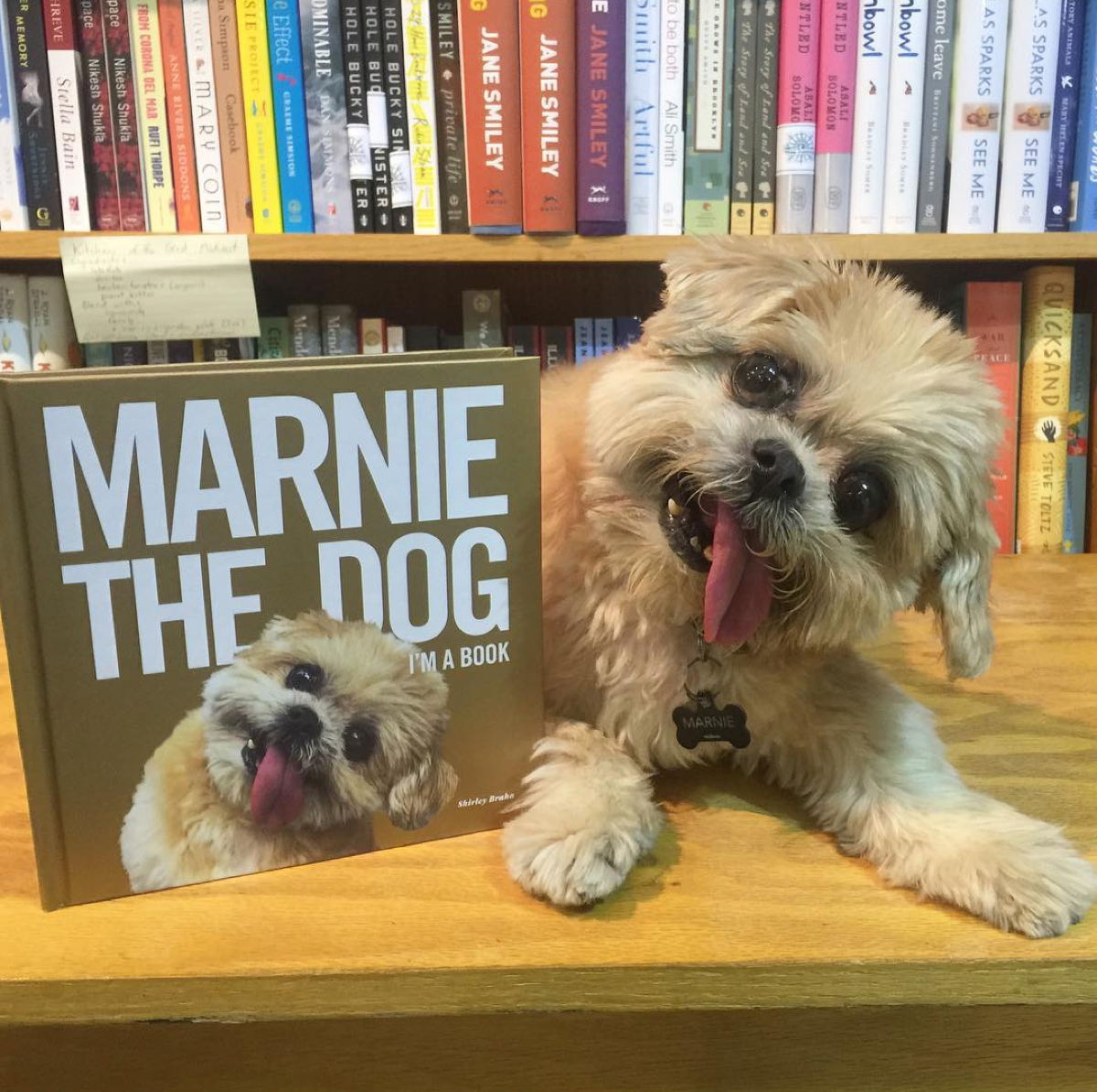 marnie the dog book