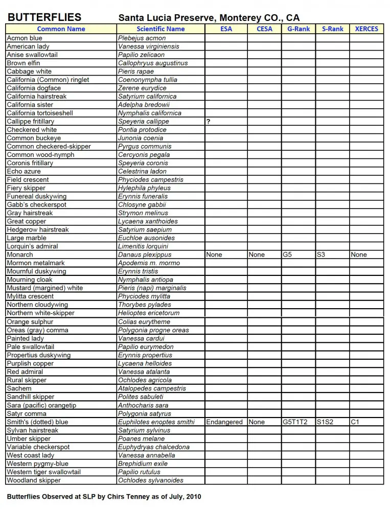 butterflies observed at Santa Lucia Preserve
