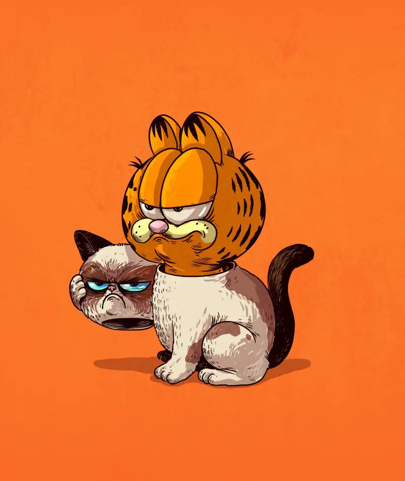 grumpy cat and garfield