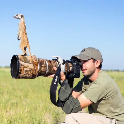 photography safari
