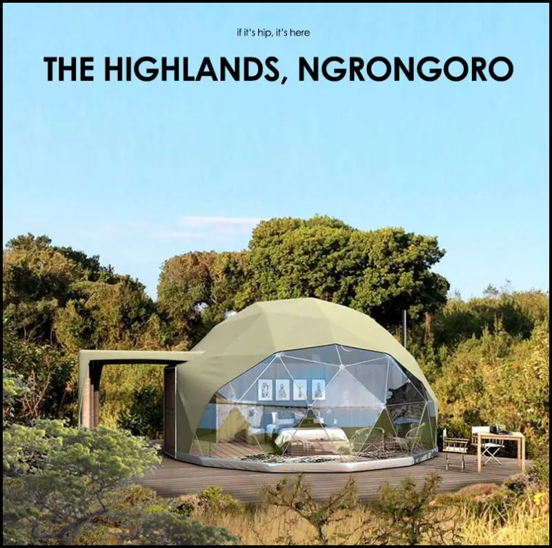 the highlands ngorongoro