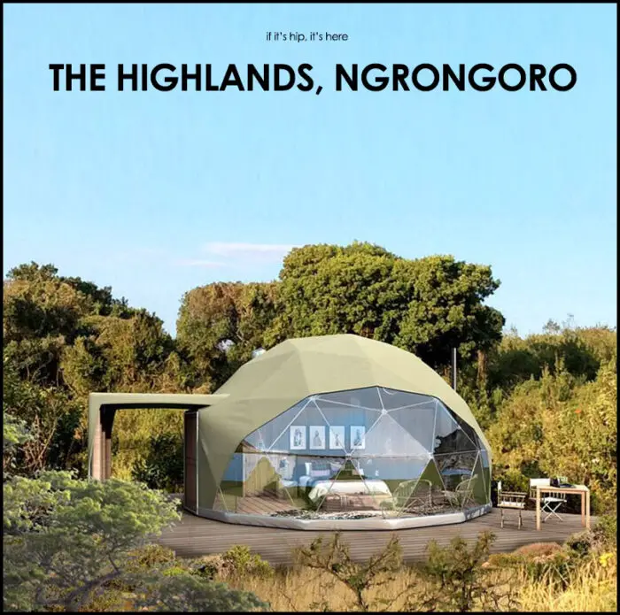 Read more about the article Wildlife and Wild Tents: The Highlands Ngorongoro. (Updated with new photos)
