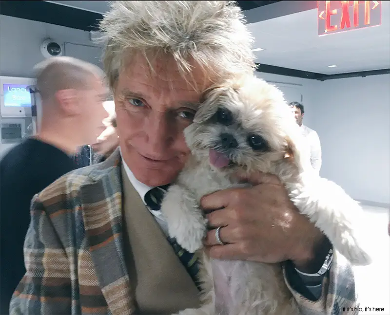 marnie the dog with Rod Stewart