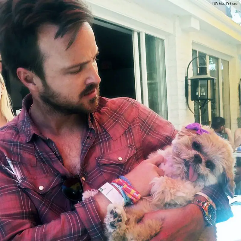 marnie dog with Aaron Paul