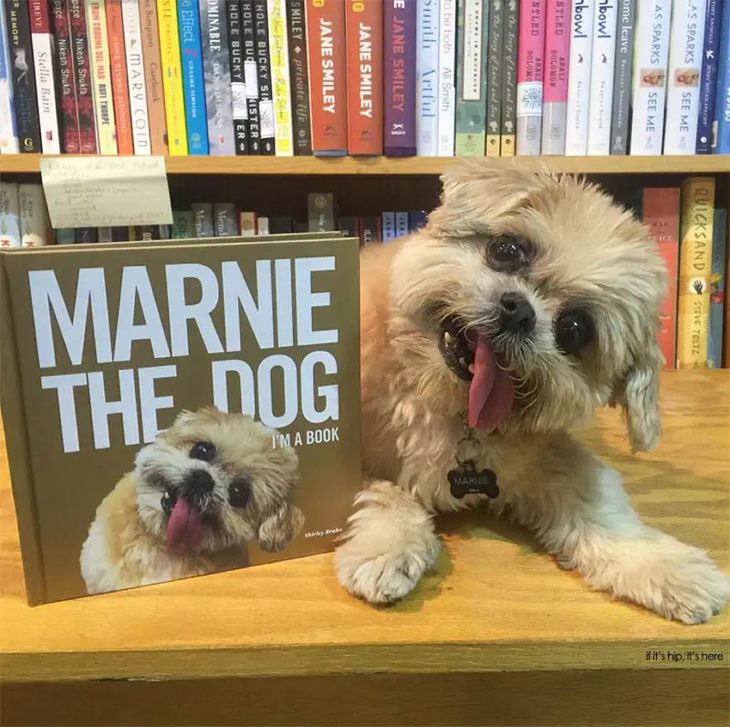Marnie with her book 