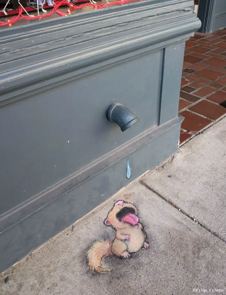 drinking squirrel by David Zinn