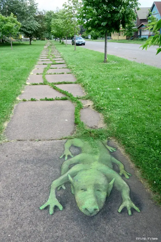 grasstail lizard by David Zinn