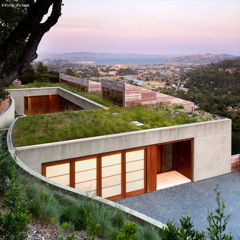 living roof on kentfield residence