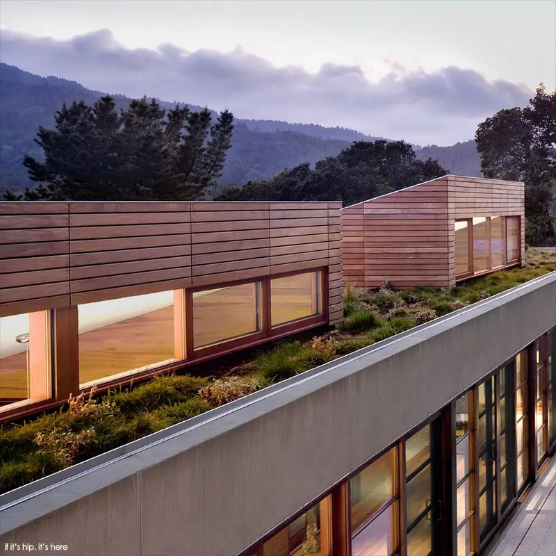 living roof kentfield residence