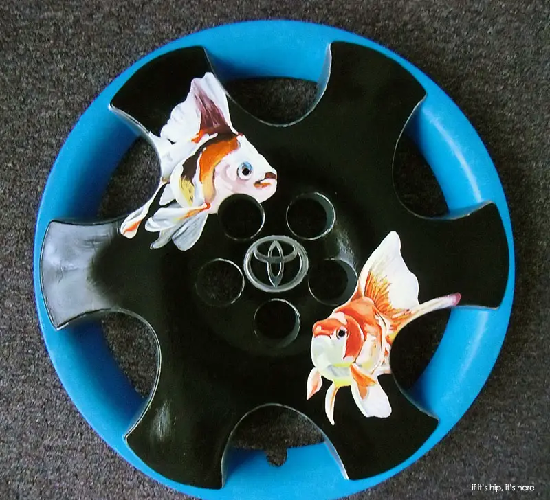 koi hubcap