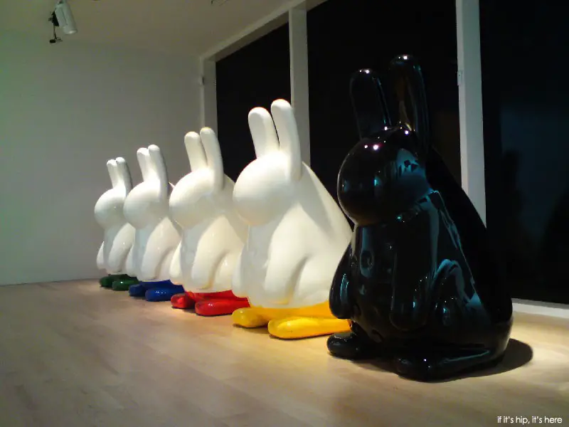 tom claassen rabbits in gallery