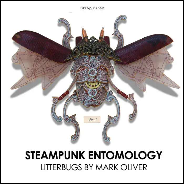 Read more about the article Mark Oliver Litterbugs Are Like Steampunk Entomology