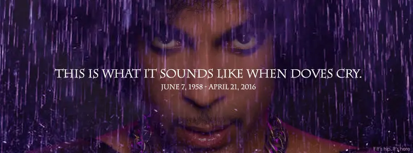 Prince tribute doves cry if it's hip, it's here