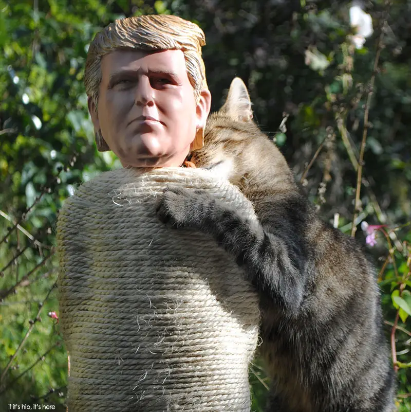Trump scratching post for cats at if it's hip, it's here