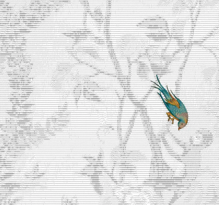 Xu Wenkai Gucci