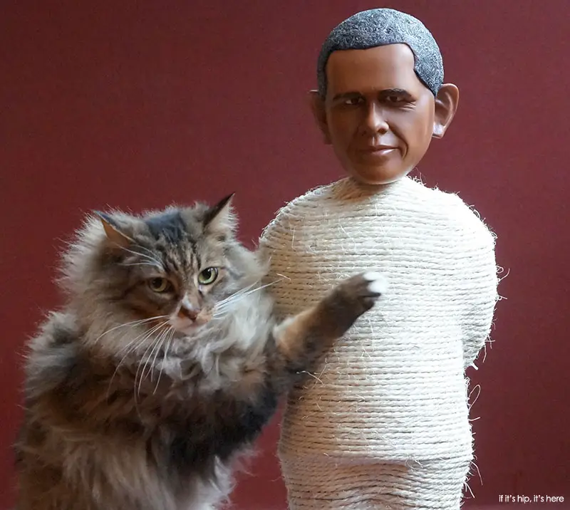 obama barack cat scratching post