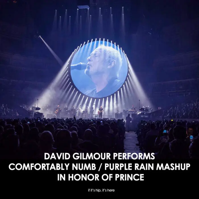 Read more about the article Comfortably Numb Purple Rain Mashup by David Gilmour