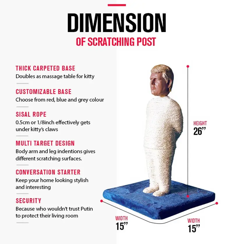 dimensions of cat scratching post