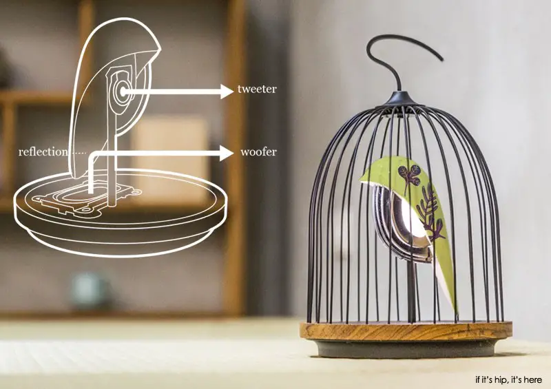 jingoo lamp and speaker with diagram