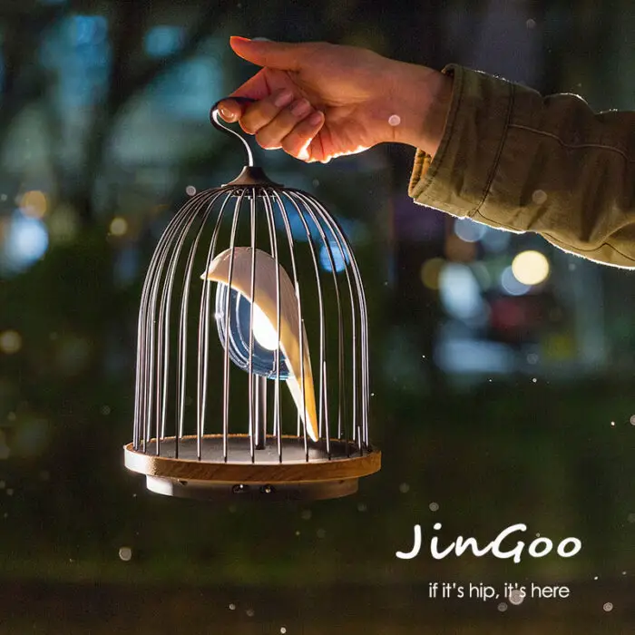Read more about the article This Caged Bird Sings. And Provides Light. Meet JinGoo.