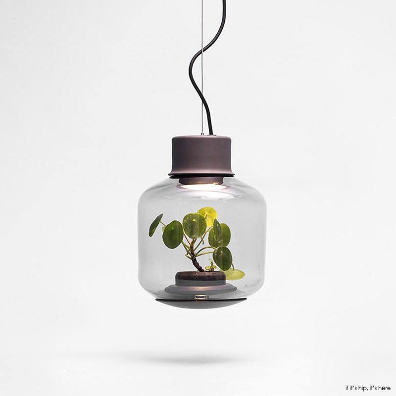 lamp mygdal terrarium pendant light