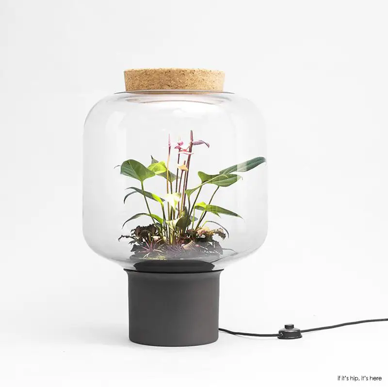 lamp mygdal terrarium with built in light