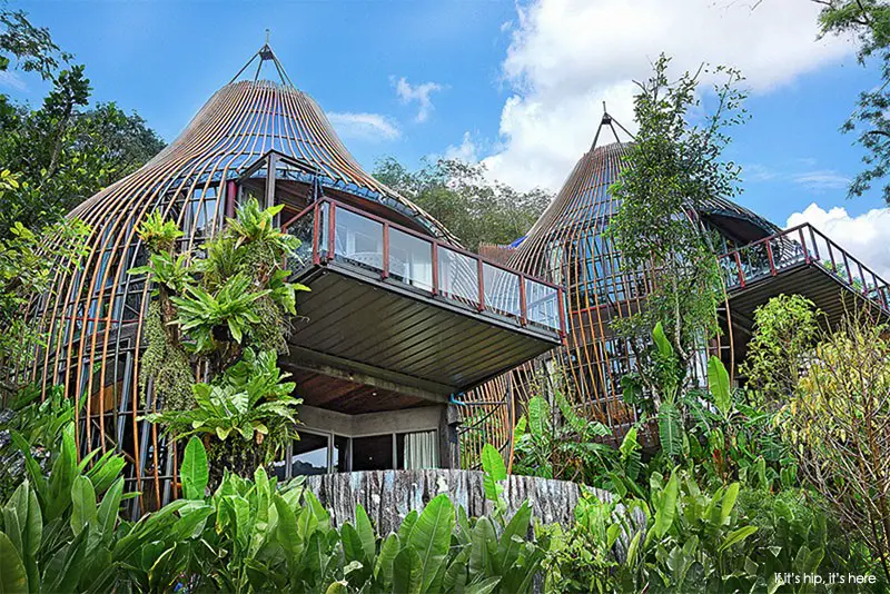 the 2 story tree house villas at Keemala