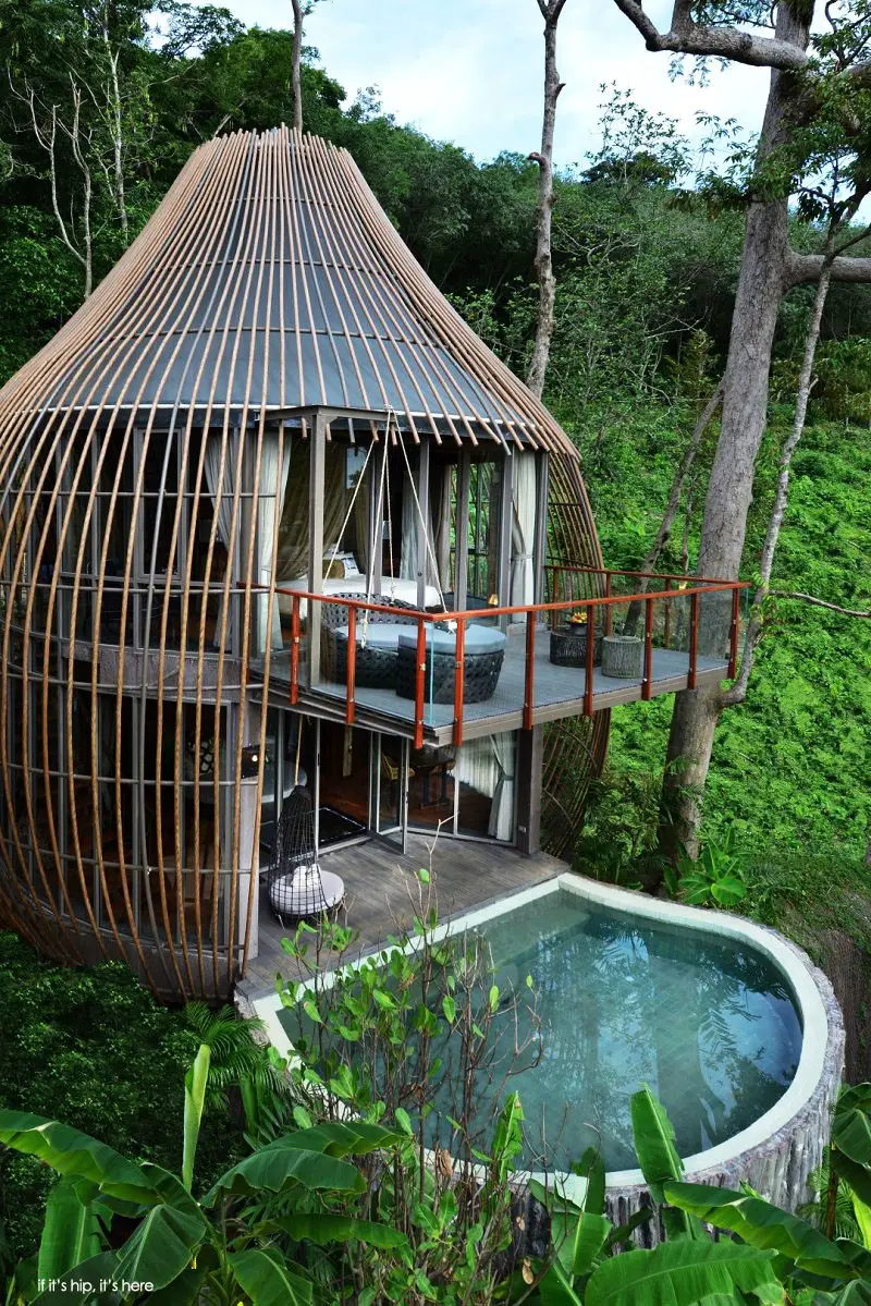tree house pool villa at if its hip its here