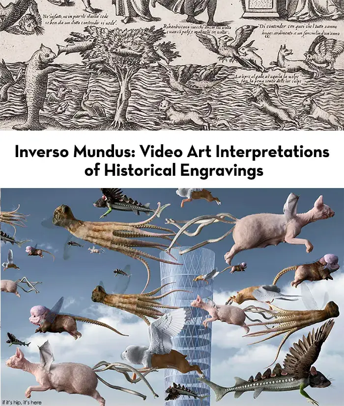 historical engravings brought to life through video art