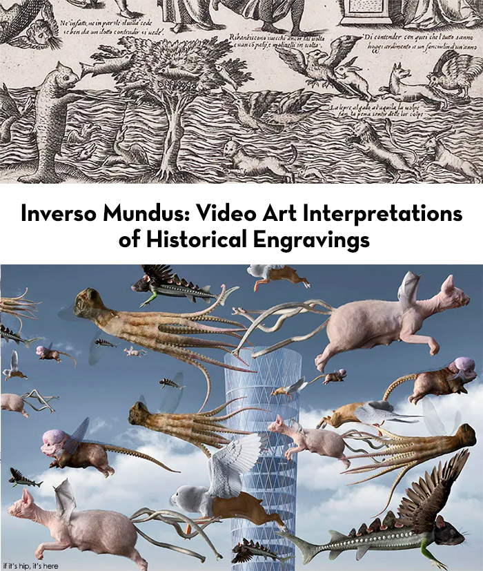 historical engravings borught to life through video art