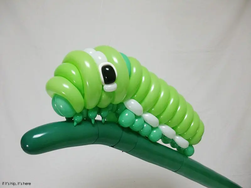 caterpillar balloon animal