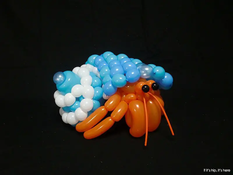 hermit crab balloon animal